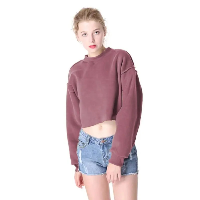 Thick Cotton Women Sweatshirt Hoodie Casual Loose Long Sleeve Streetwear Crop Pullover - Blade & Thread
