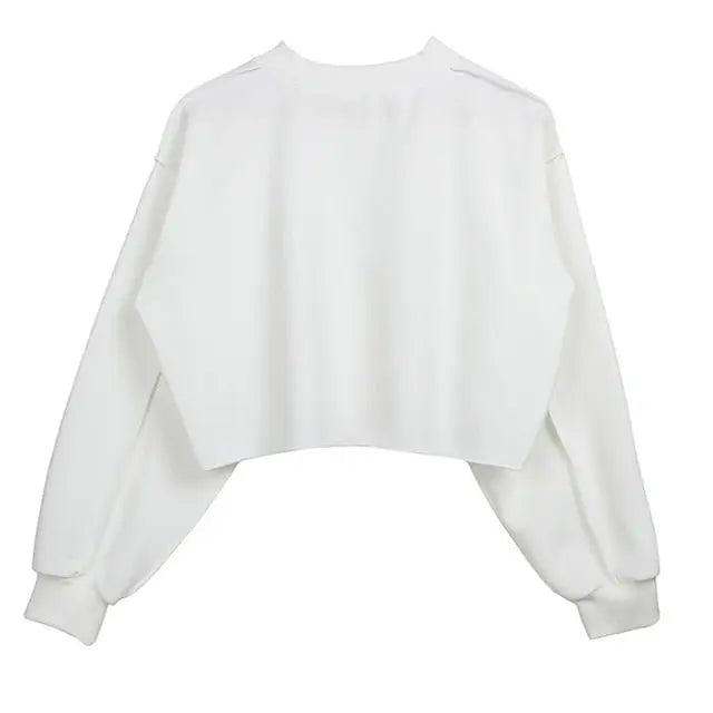 Thick Cotton Women Sweatshirt Hoodie Casual Loose Long Sleeve Streetwear Crop Pullover nowadaysfashion
