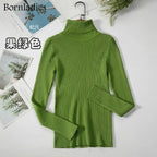 Turtleneck Women Sweaters Autumn Winter Tops Slim Women Pullover Knitted Sweater nowadaysfashion