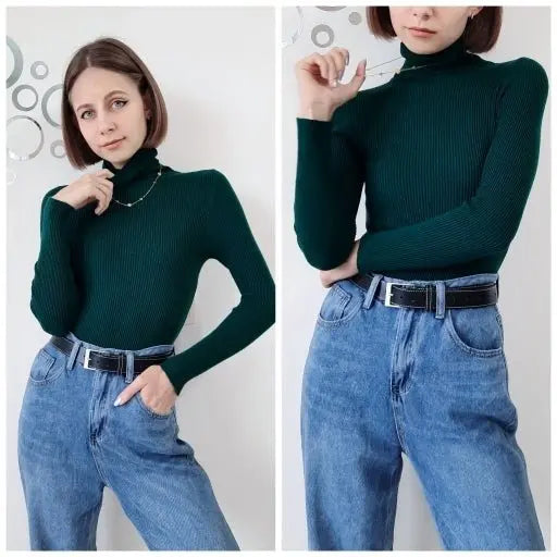 Turtleneck Women Sweaters Autumn Winter Tops Slim Women Pullover Knitted Sweater - Blade & Thread