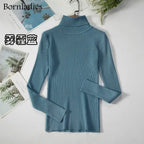 Turtleneck Women Sweaters Autumn Winter Tops Slim Women Pullover Knitted Sweater nowadaysfashion