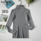 Turtleneck Women Sweaters Autumn Winter Tops Slim Women Pullover Knitted Sweater nowadaysfashion