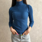 Turtleneck Women Sweaters Autumn Winter Tops Slim Women Pullover Knitted Sweater nowadaysfashion